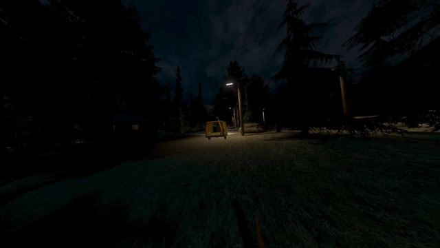 A yellow van under a streetlight in the woods at night